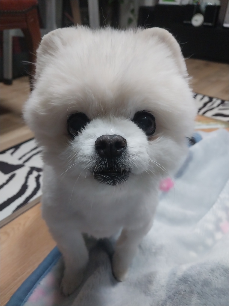 250821_부평_꼬맹이.jpg