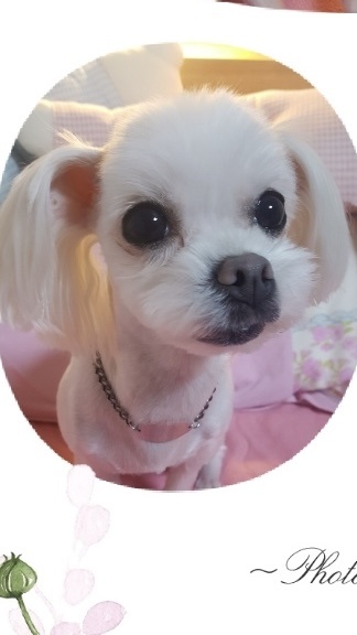 250822_부평 짱순.jpg