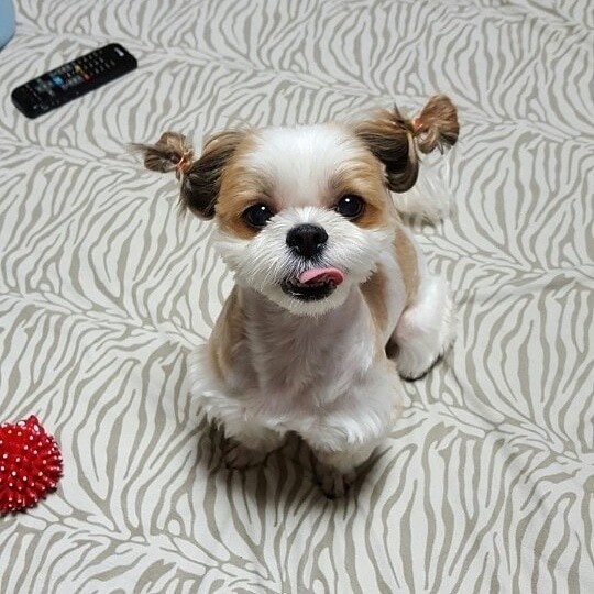 250823_부천_까비.jpg