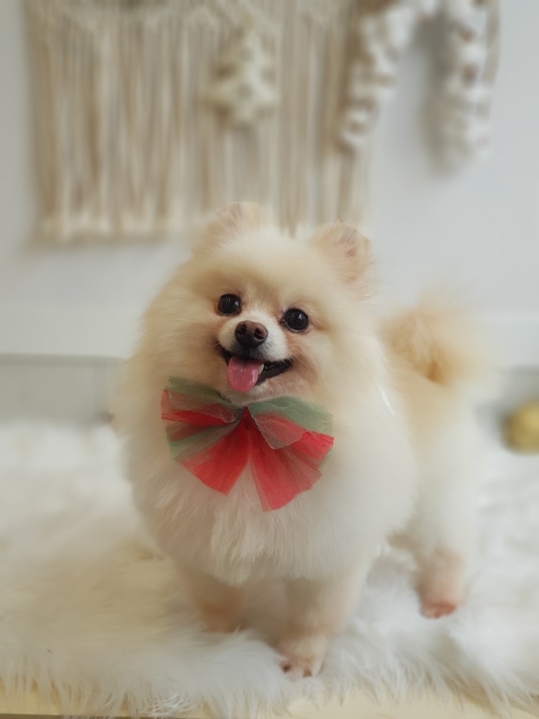 250824_부천_삐비.jpg