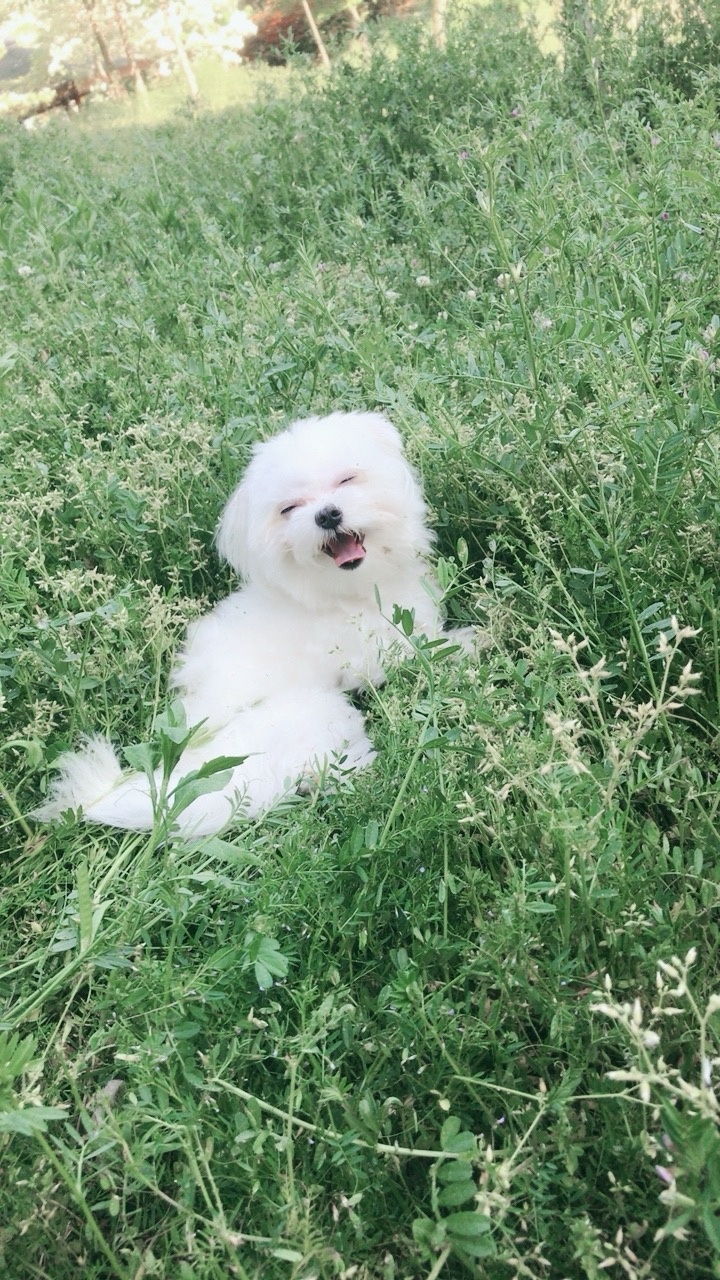 250825_부평_티미.jpg