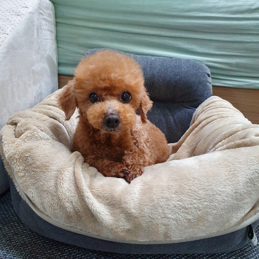 250826_구리_똘망.jpg