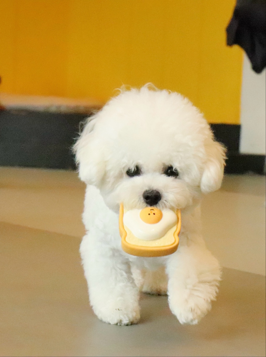 250826_부천_모모.jpg