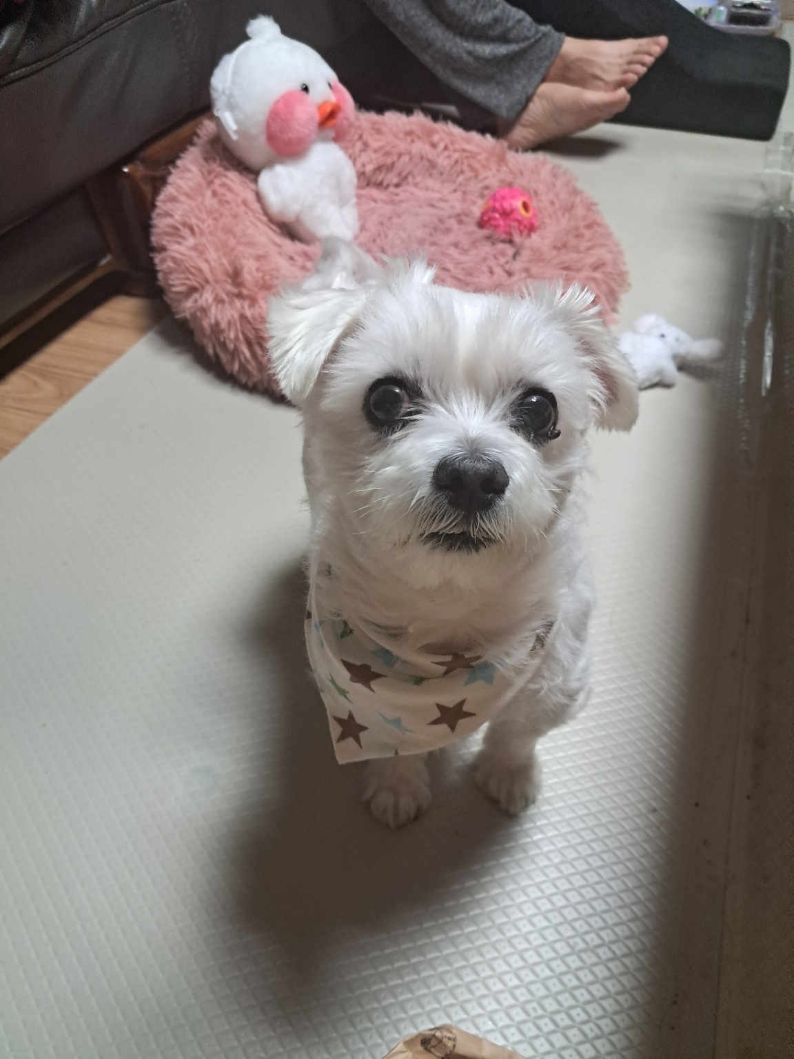 250826_부평 짱이.jpg