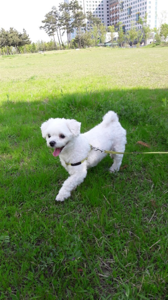 250827_연수구_크림이.jpg