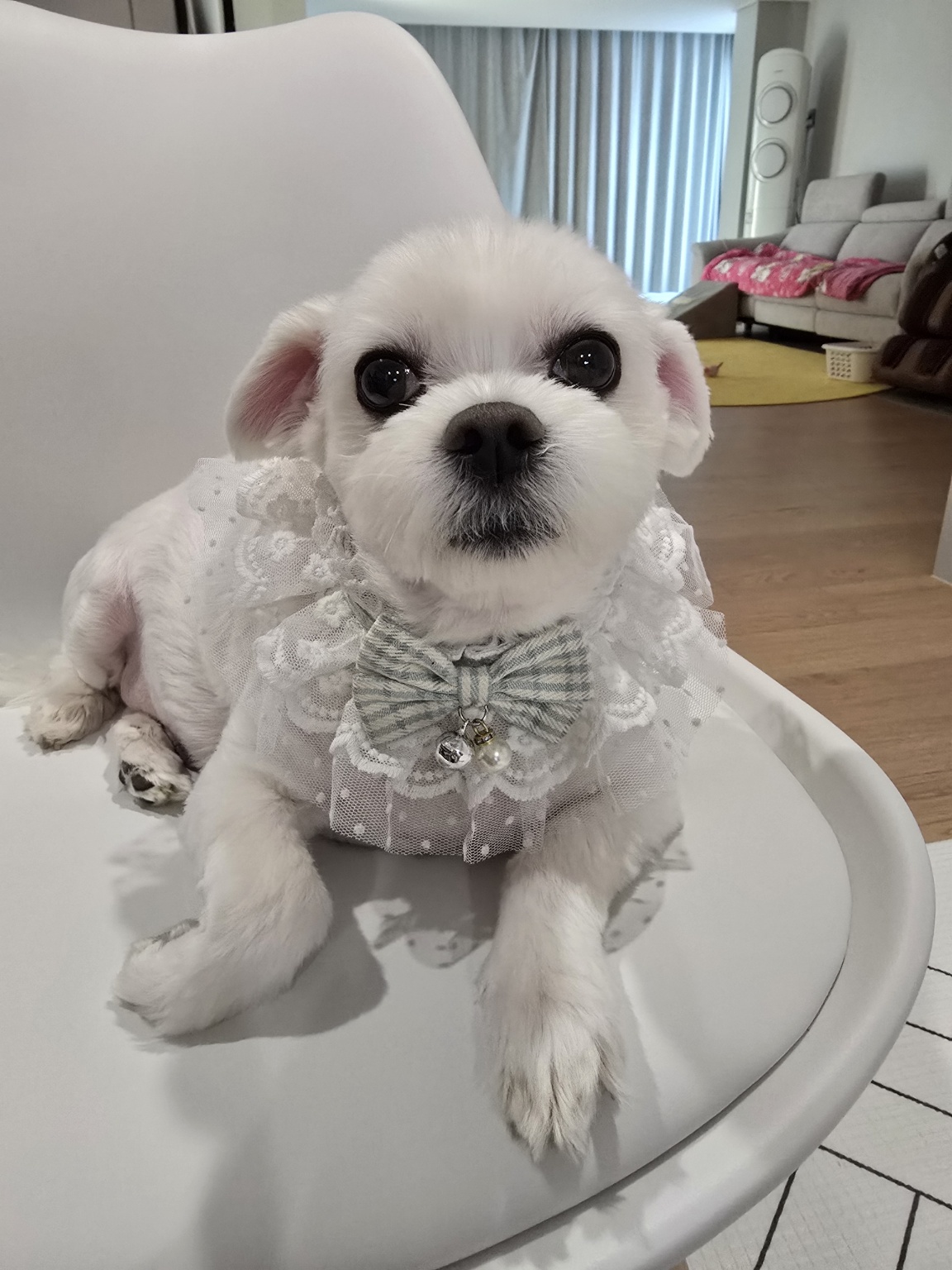 250828_부평_용이.jpg