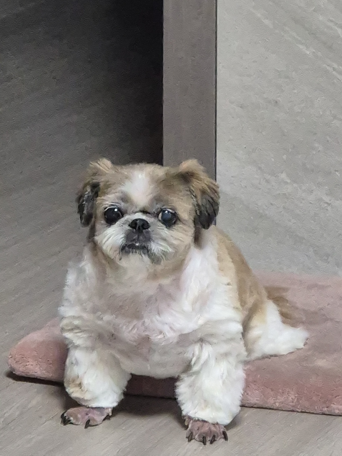 250828_송도_꼬미.jpg