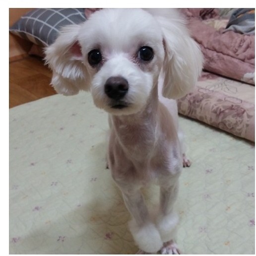 250829_군포_뚱이.jpg