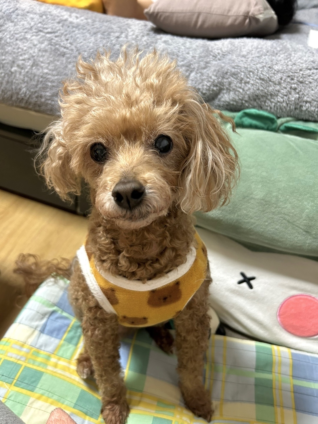 250901_부천_루피.jpg