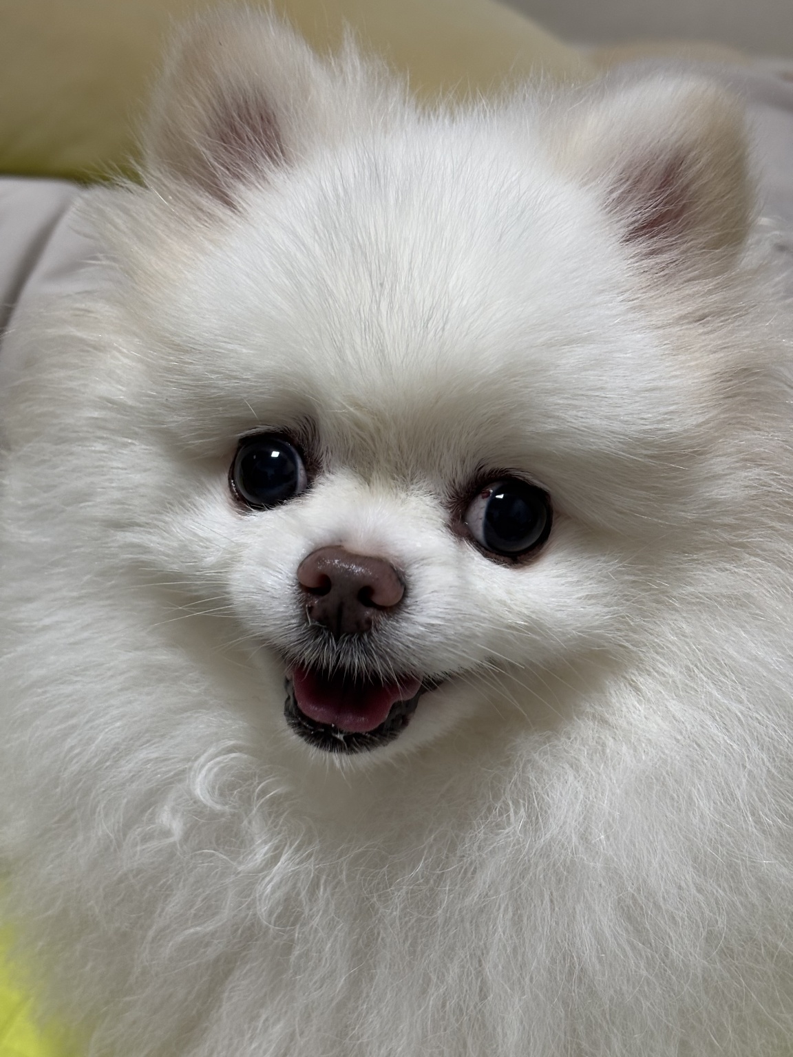 250901_부천_사랑.jpg