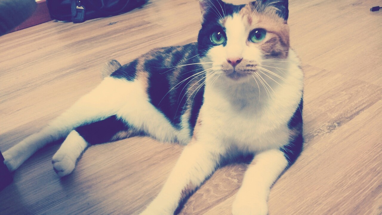 250901_연수_공주.jpg