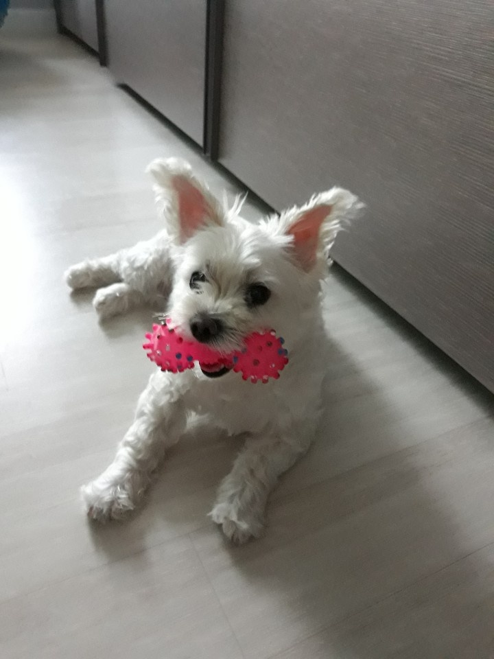 250902_계양_똘이.jpg