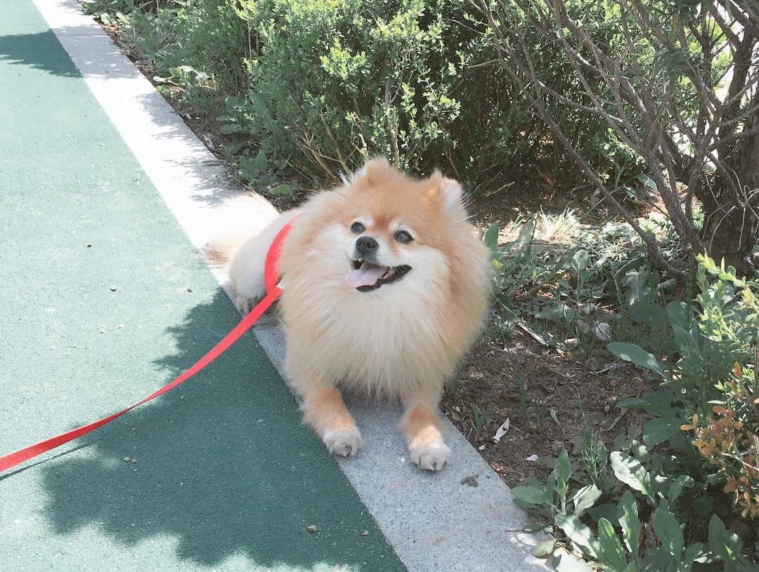250902_부천_꽁지.jpg
