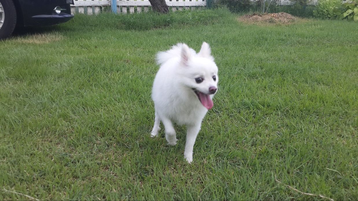 250902_시흥_산들이.jpg