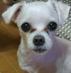 250908_계양_굴리.jpg