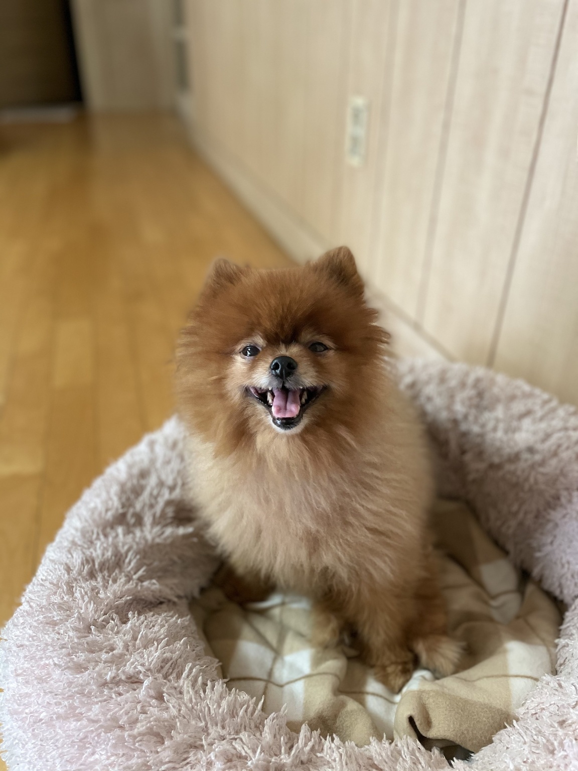 250915_부평_뽀삐.jpg
