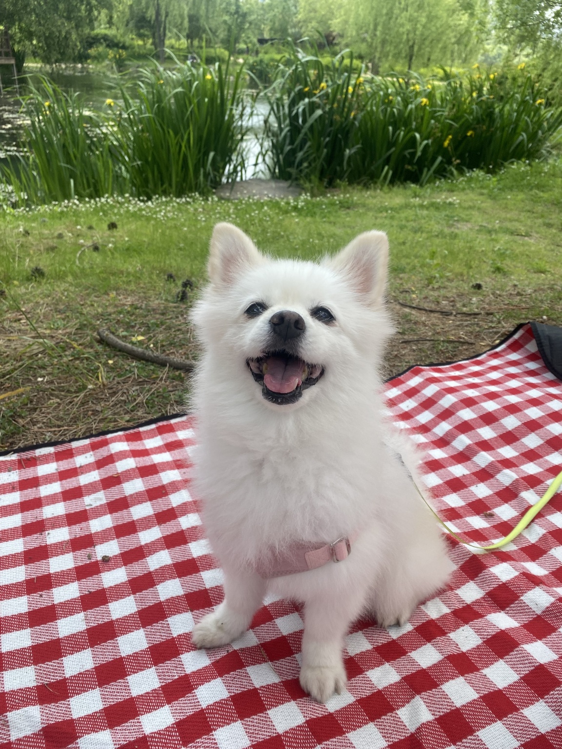 250926_부평_사랑이.jpg