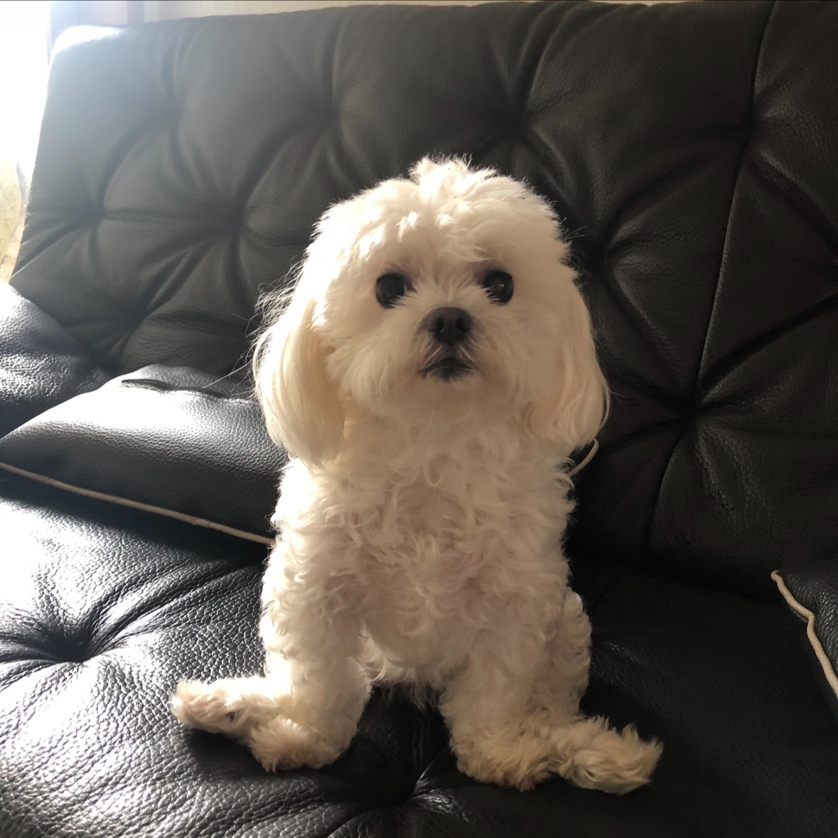 250927_부평_댕이.jpg
