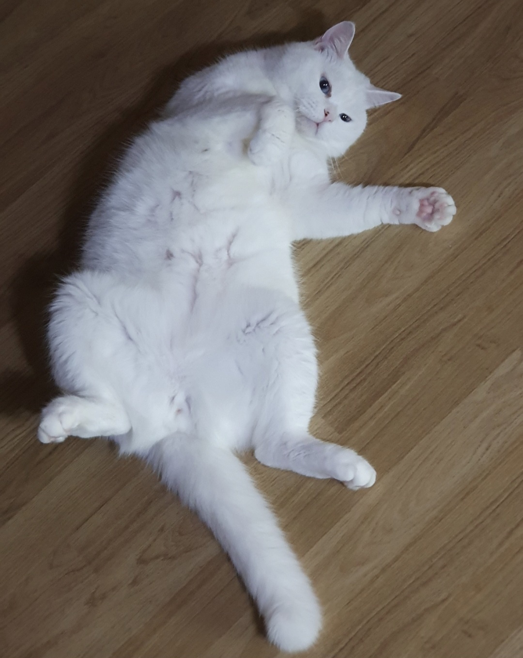 250928_동인천_겨울이.jpg