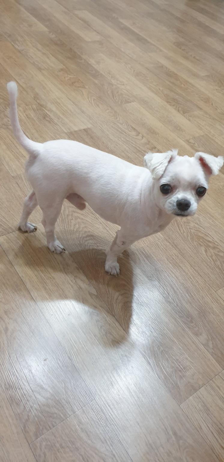 250929_부평_두부.jpg