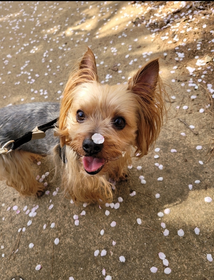 260109 광명 똘똘이.jpg