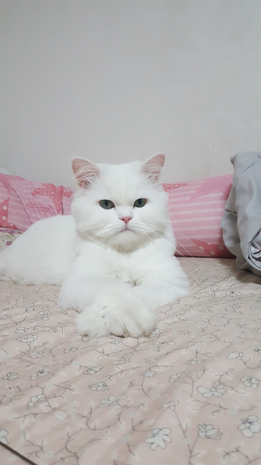 260113 구월 우유.jpg