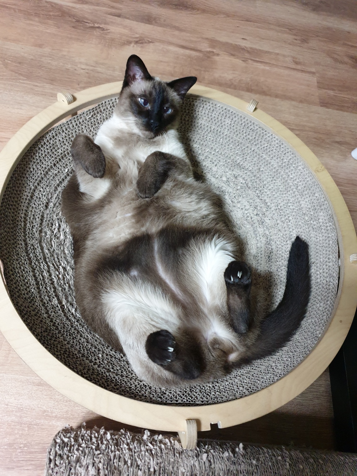 260113_연수구_ 꼬마.jpg