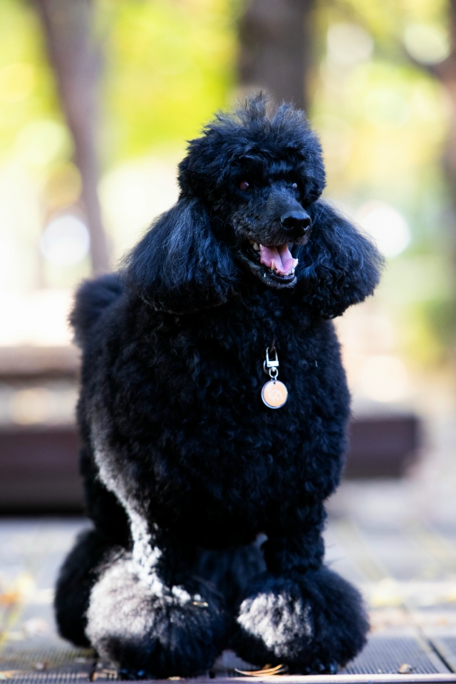 260113_청담동 레이.jpg