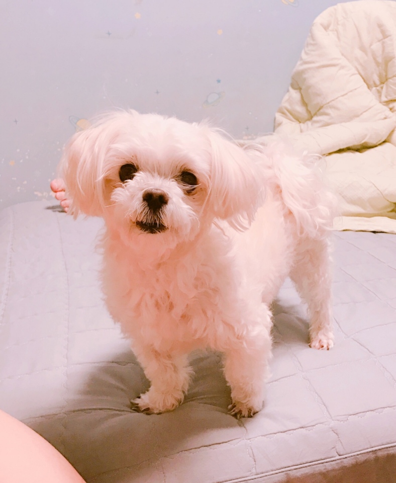 260115 안양 별.jpg