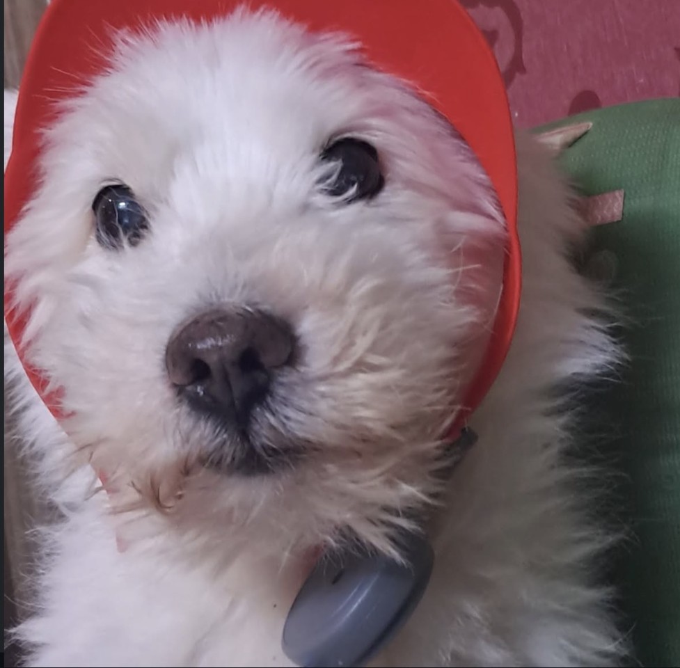 260116 부천 문이순.jpg