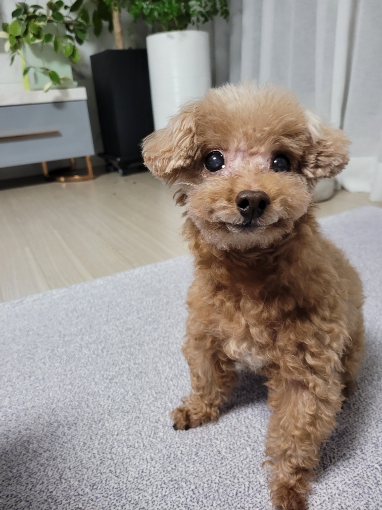 260116 성남 코코.jpg