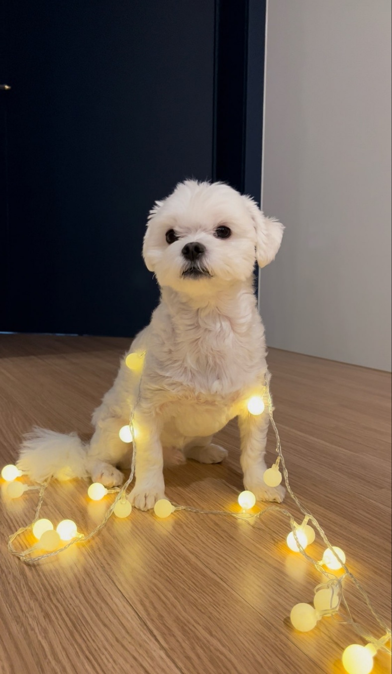 260118 김포 토토.jpg