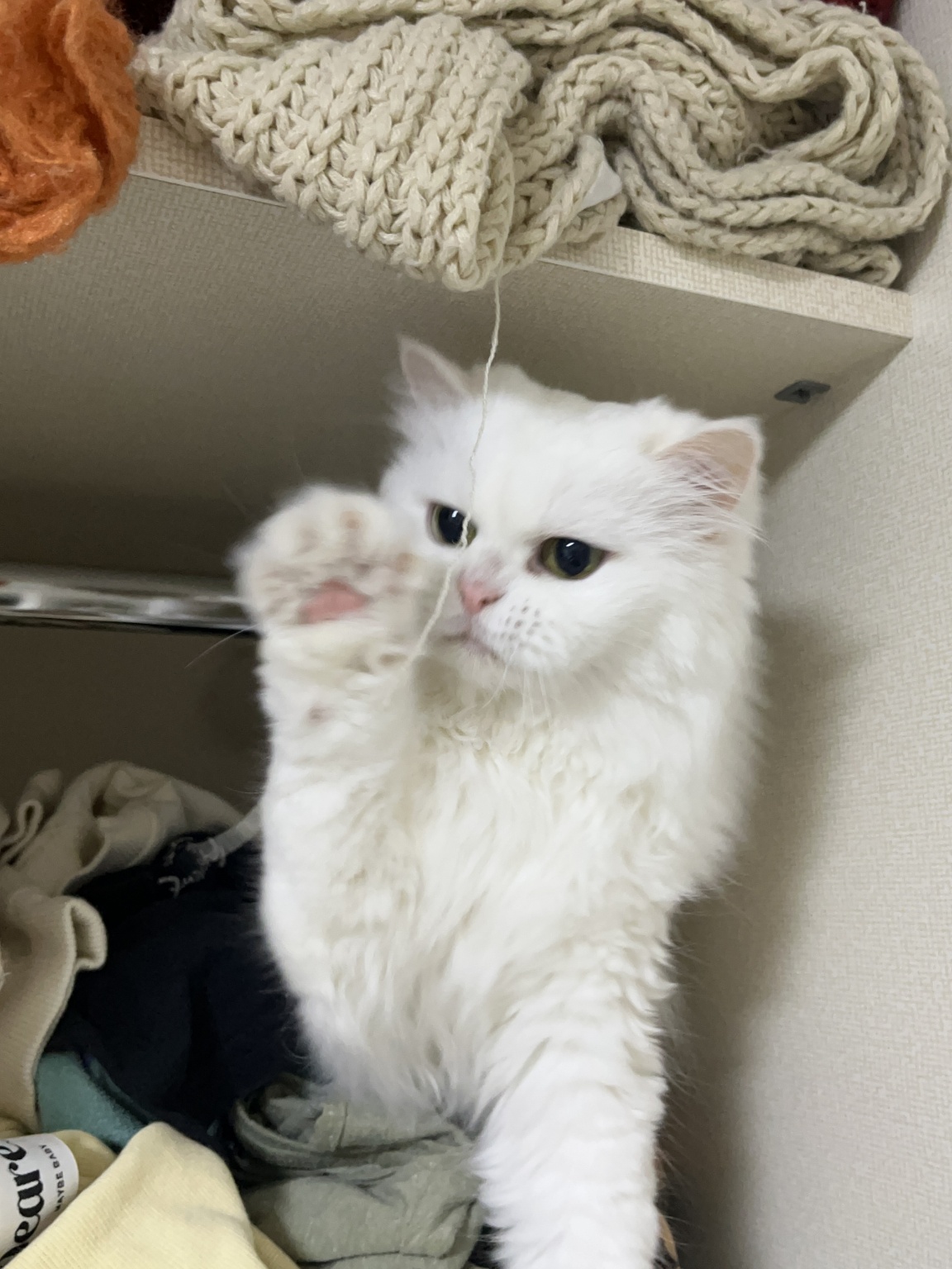 260118 부평 나비.jpg