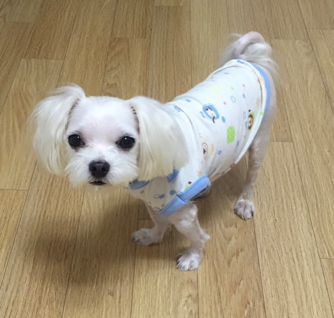 260118 부평 뽀미.jpg