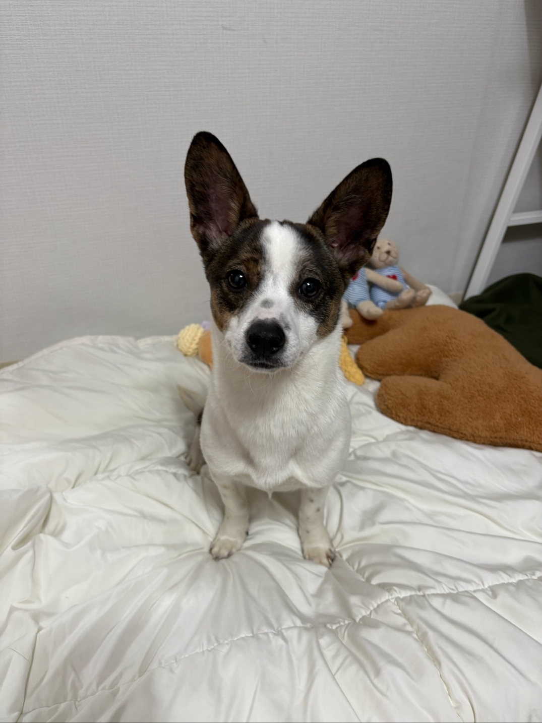 260119 남동구 요롱.jpg