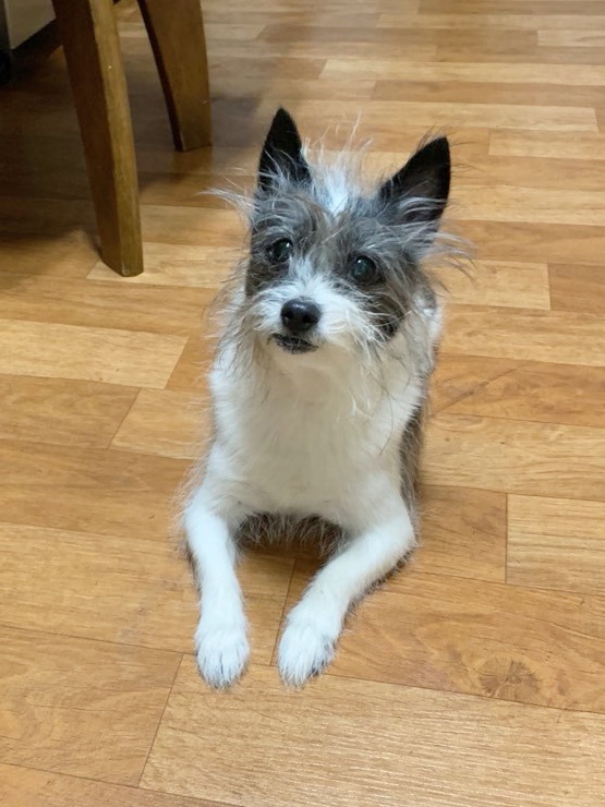 260119 서구 동이.jpg