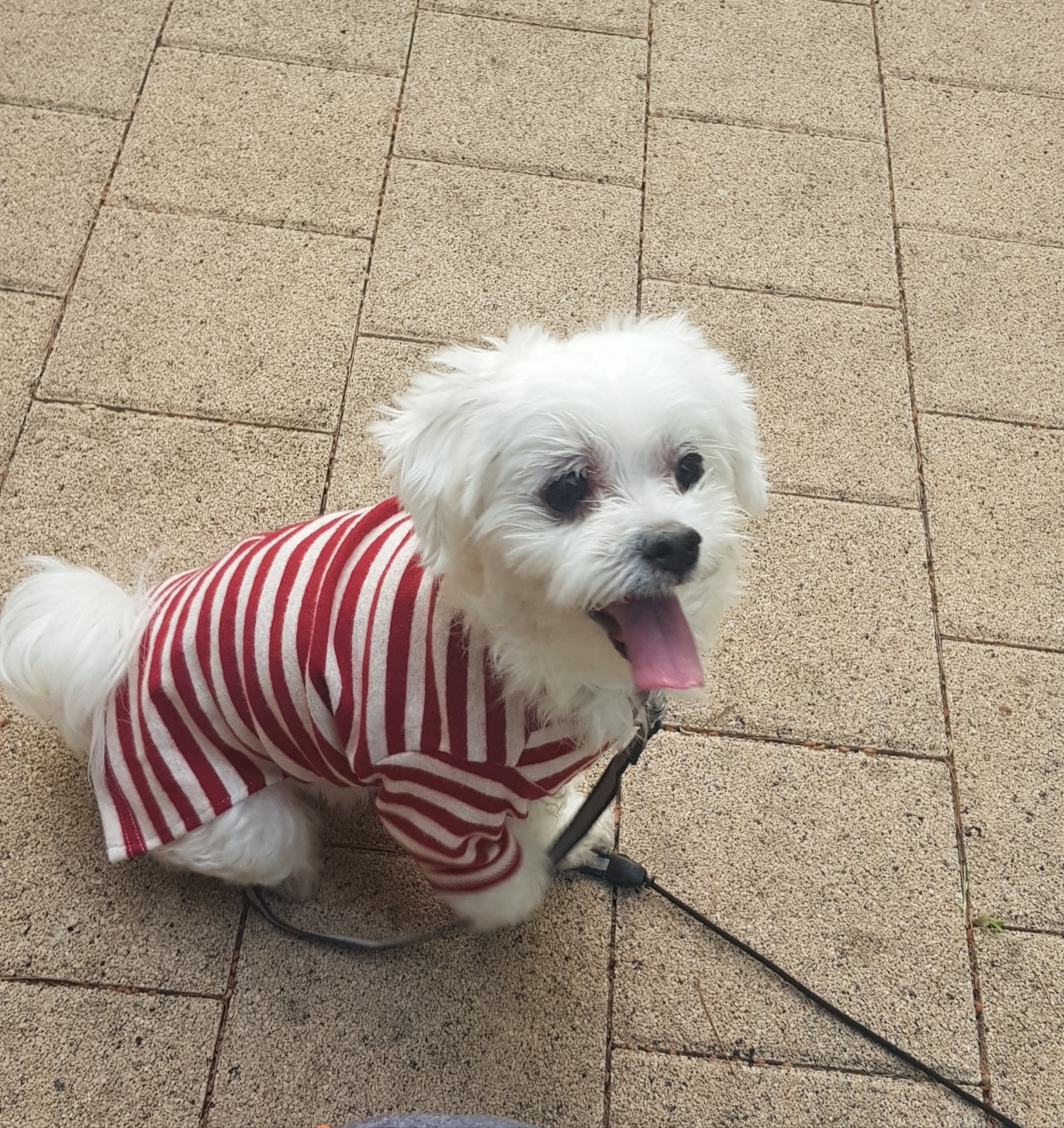 260120 광명 해니.jpg