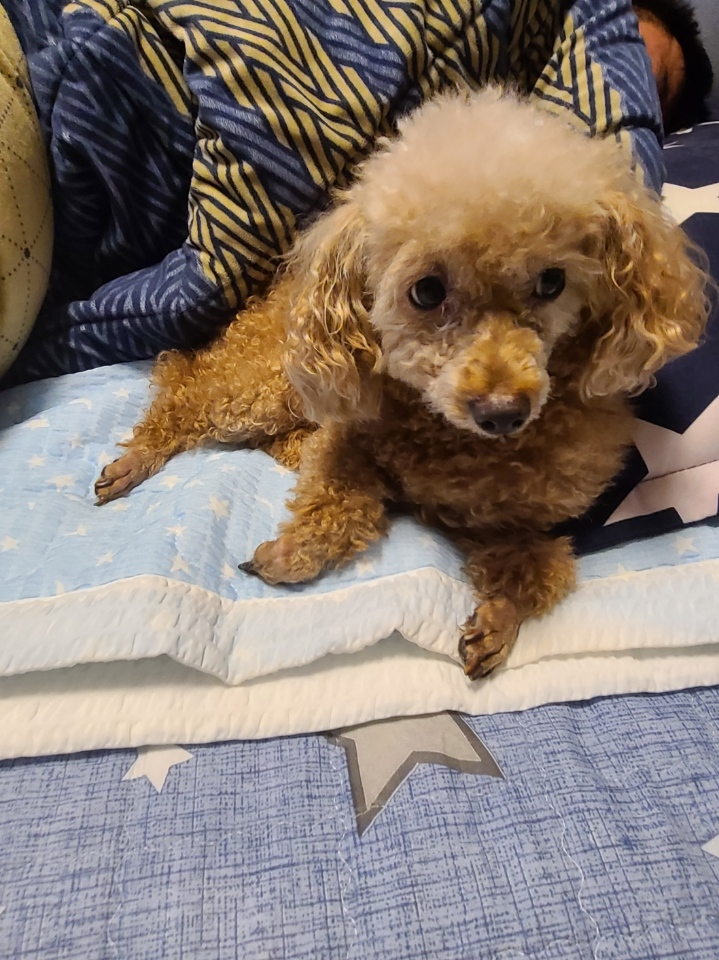 260120 서구 별이.jpg