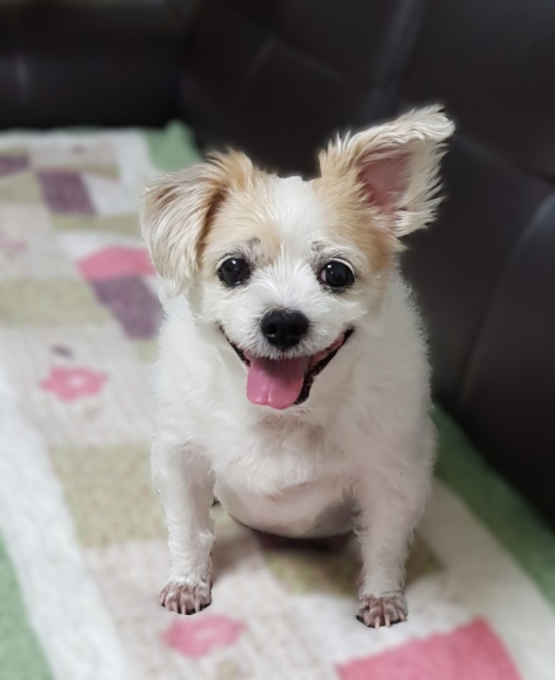 260120 안양 사랑이.jpg