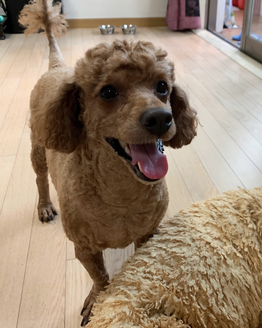 260123 시흥 여름이.jpg