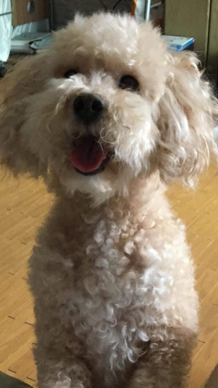 260109 구로 누리.jpg