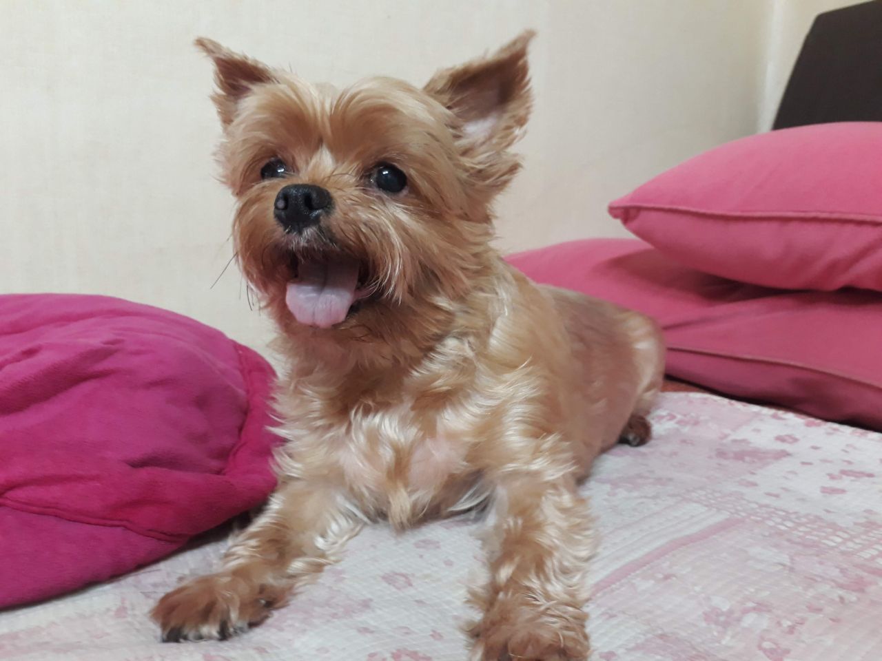 260110 안양 해피.jpg