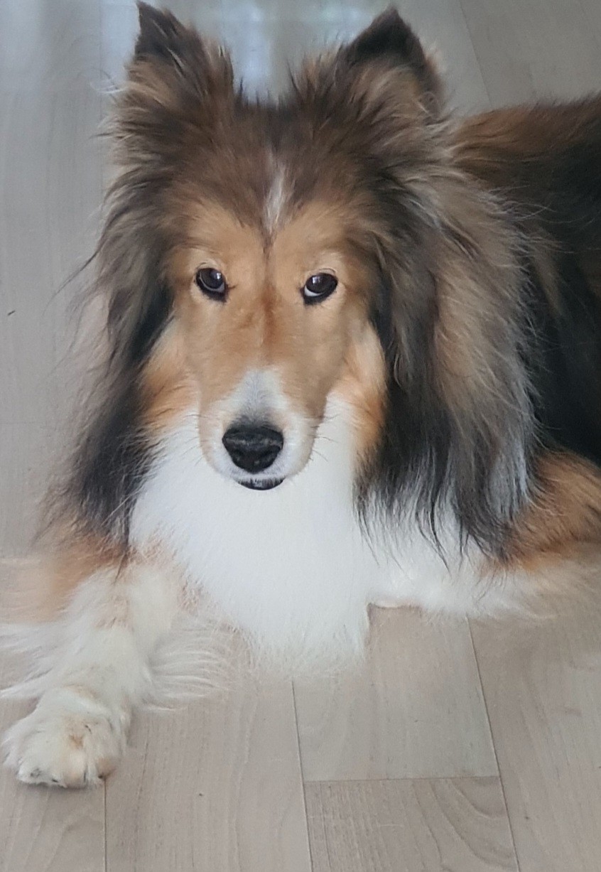 260113 광명 샤벳.jpg