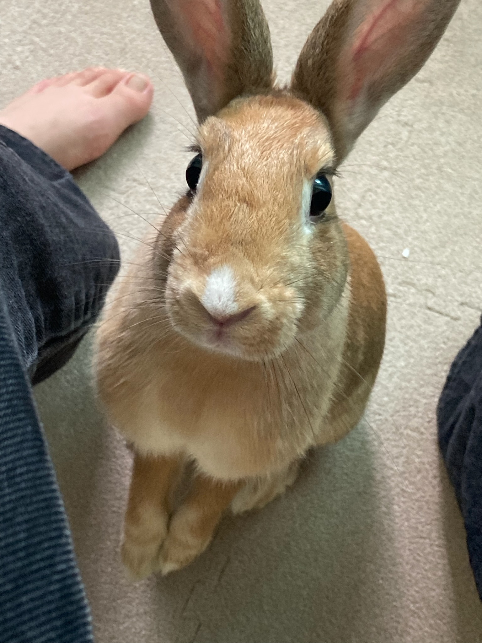 260124 부천 건빵.jpg