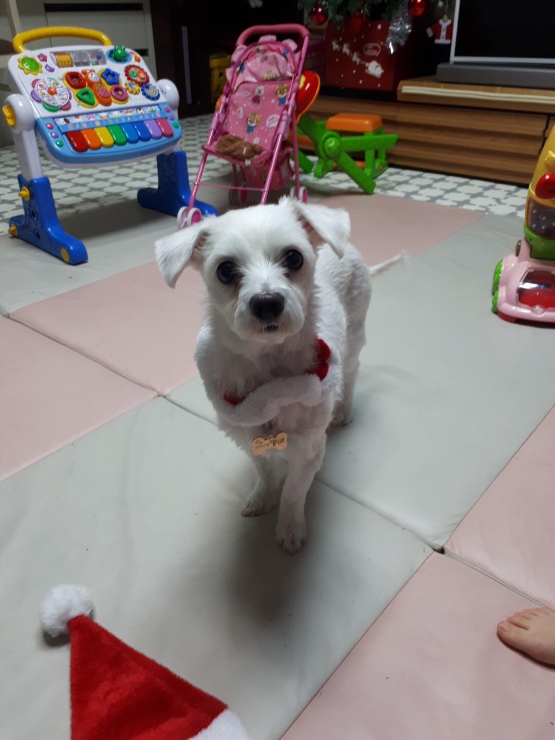 260126 부평 별이.jpg