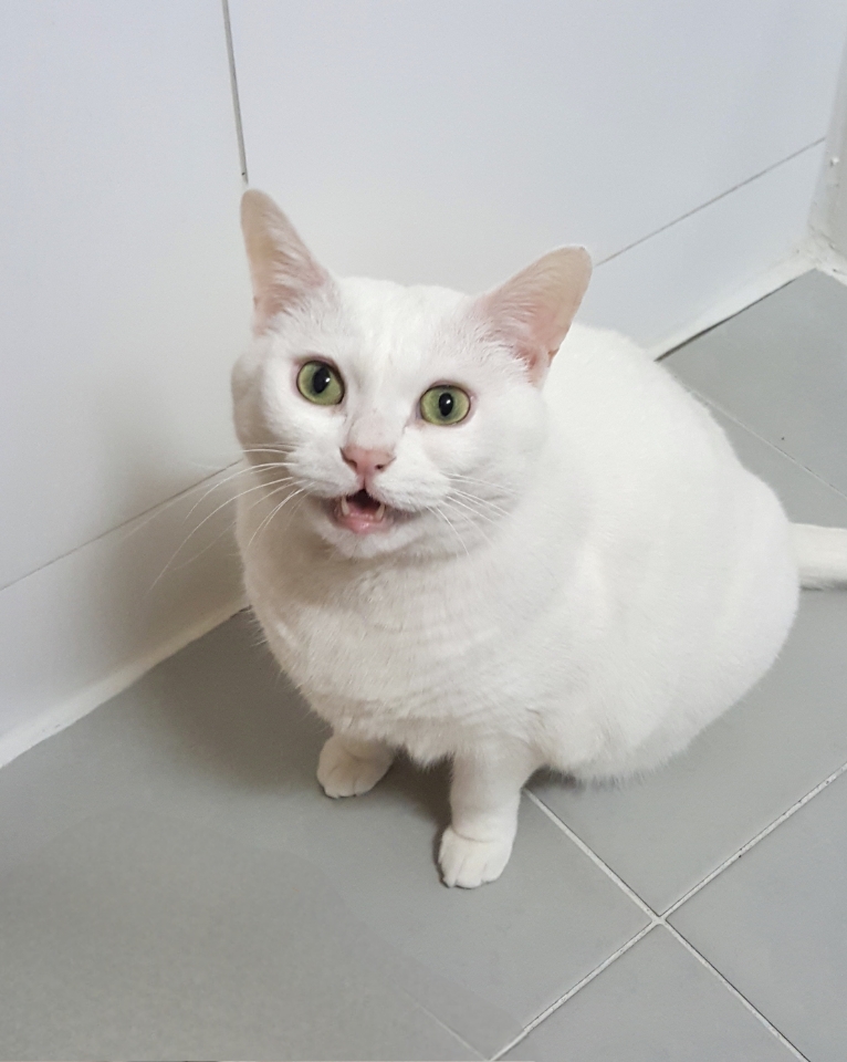 260125 시흥 나리.jpg