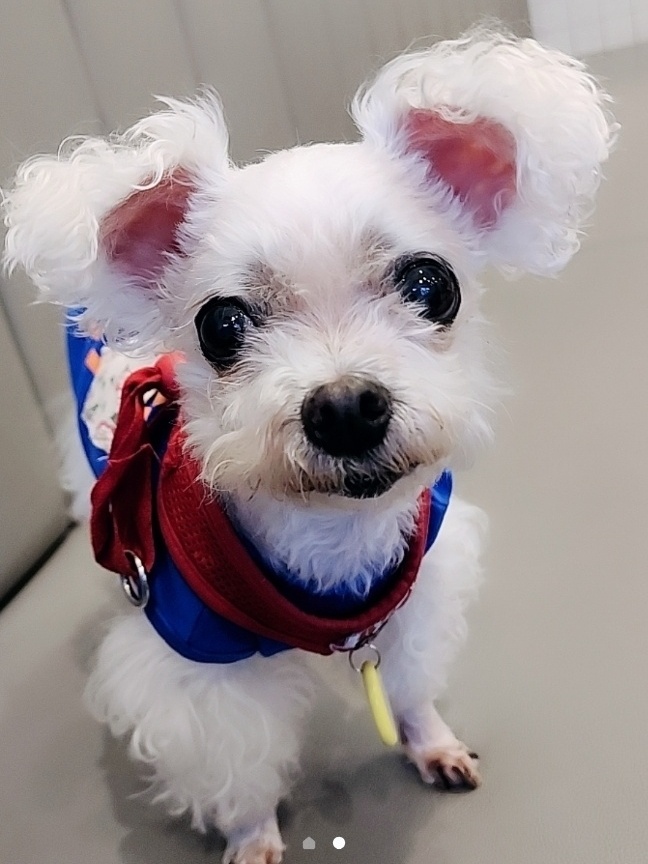 260102 시흥 아리.jpg