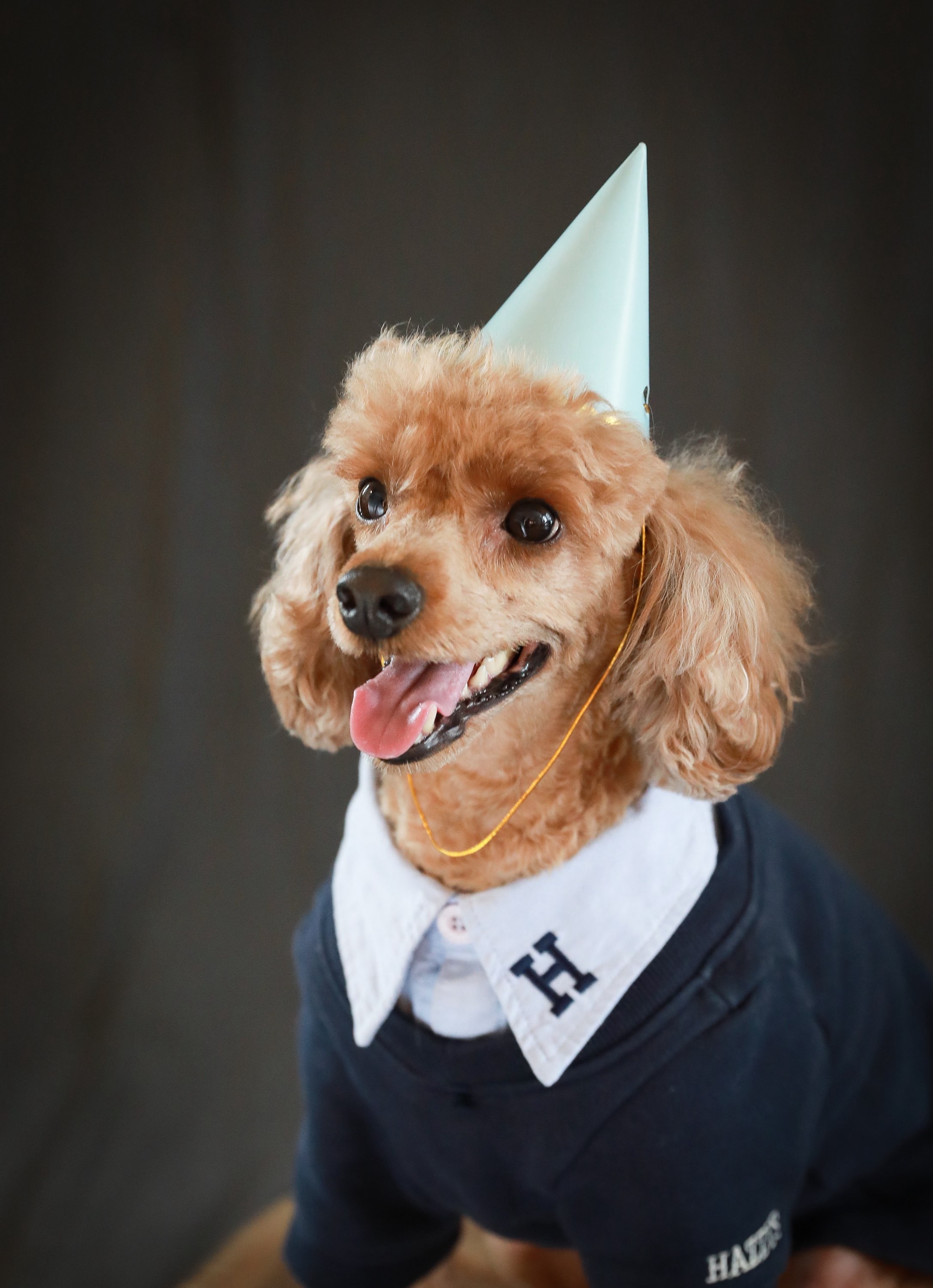 260124 시흥 망고.jpg