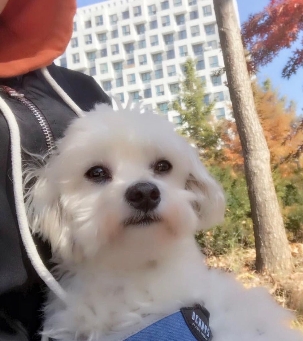 260126 하남 뿅아.jpg