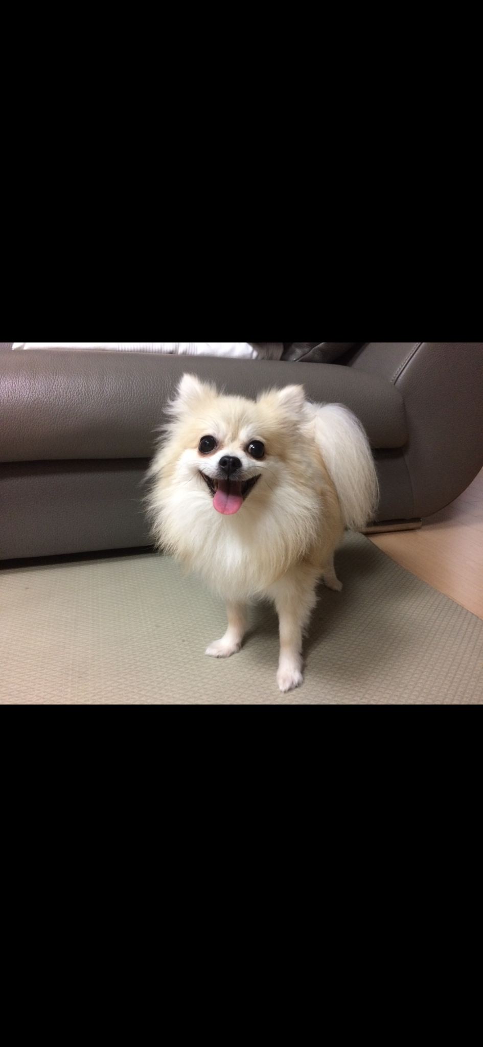 260128 배곧 베르.png